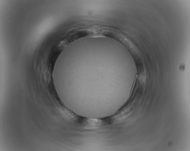X0000097620429200803142006