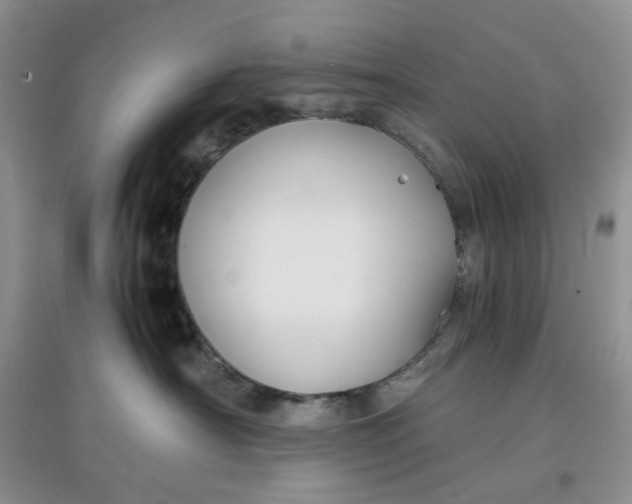 X0000097620430200803142006