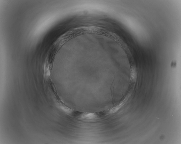 X0000097620431200803142006
