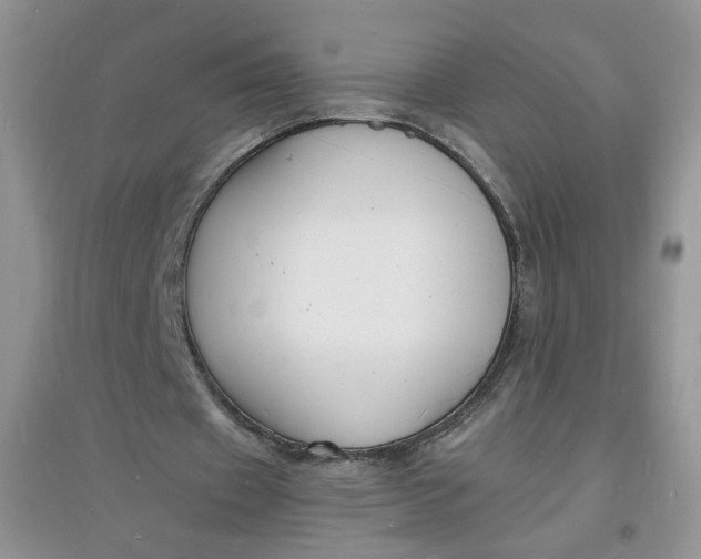X0000097620433200803142006
