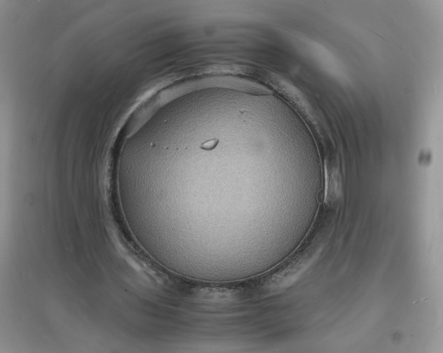 X0000097620435200803142006