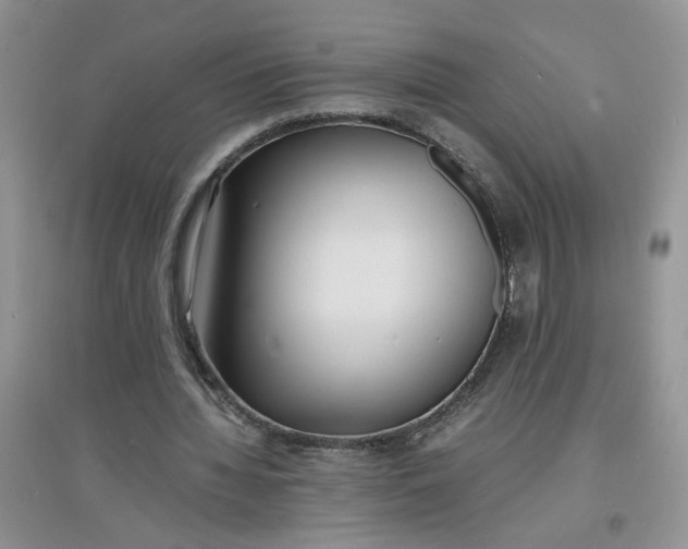 X0000097620436200803142006