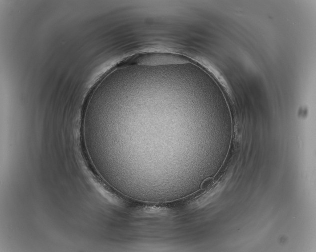 X0000097620437200803142006