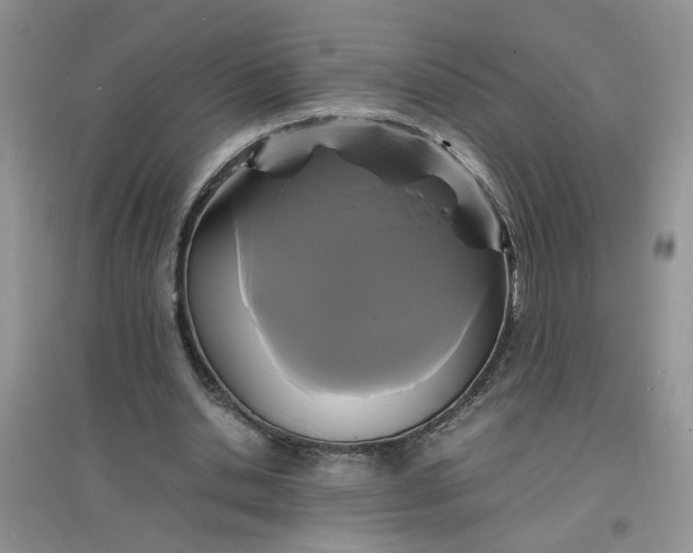 X0000097620438200803142006
