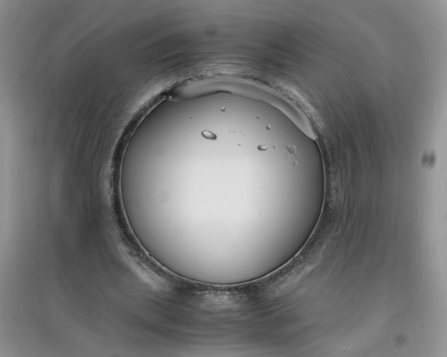 X0000097620439200803142006