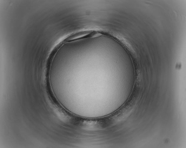 X0000097620440200803142006