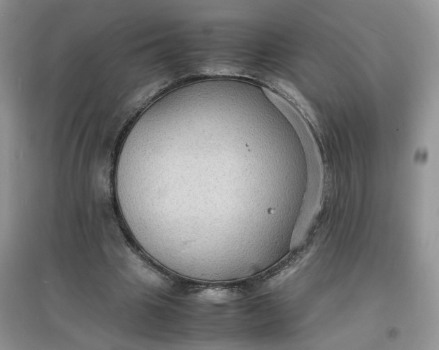 X0000097620441200803142006