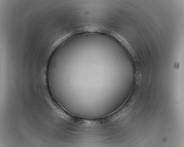 X0000097620442200803142006
