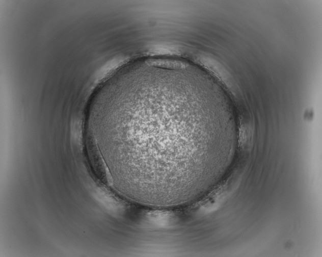 X0000097620444200803142006