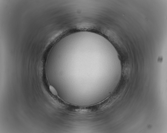 X0000097620448200803142006
