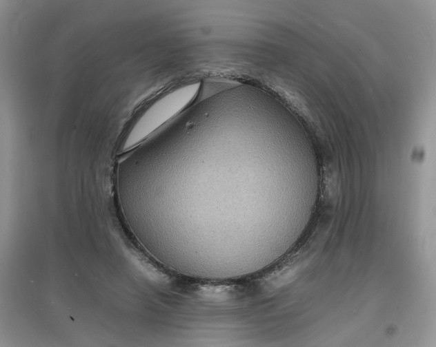X0000097620450200803142006
