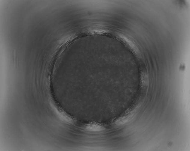 X0000097620451200803142006