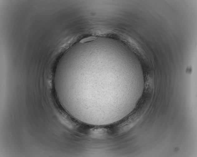 X0000097620452200803142006
