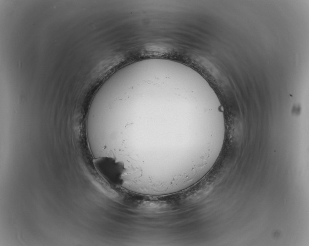 X0000097620455200803142006