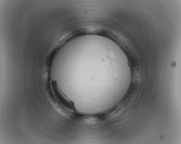 X0000097620456200803142006