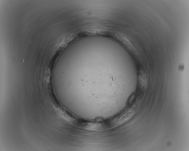 X0000097620458200803142006