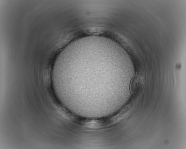 X0000097620460200803142006