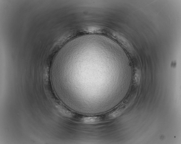 X0000097620461200803142006