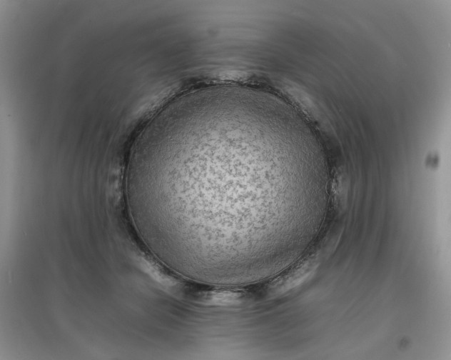 X0000097620462200803142006
