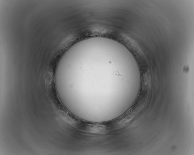 X0000097620463200803142006