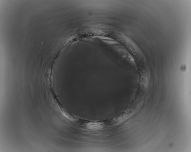 X0000097620465200803142006