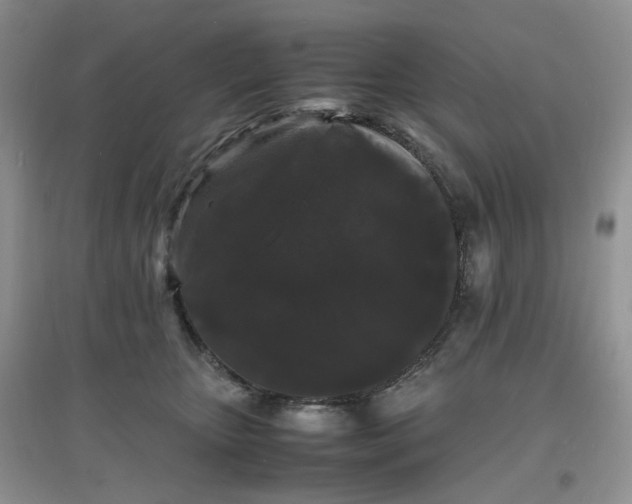 X0000097620467200803142006