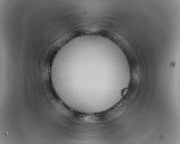 X0000097620468200803142006