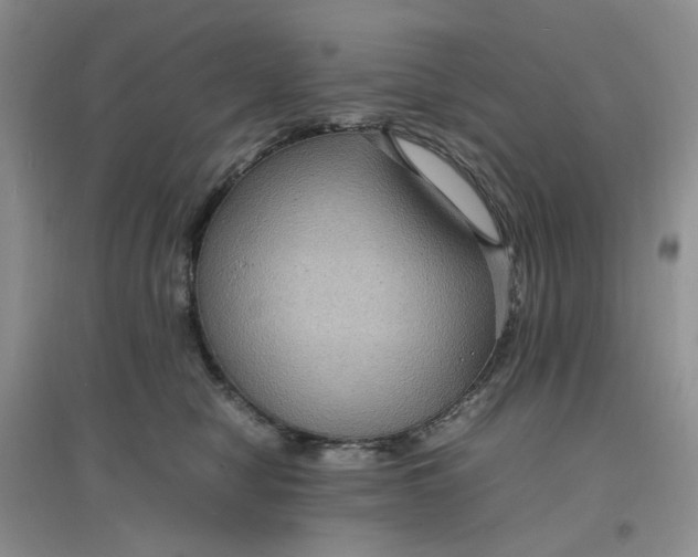 X0000097620470200803142006