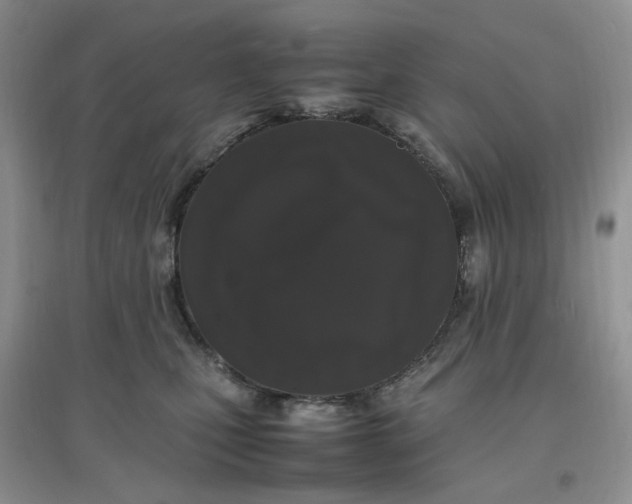 X0000097620471200803142006