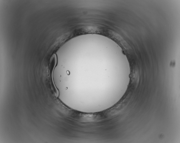 X0000097620473200803142006