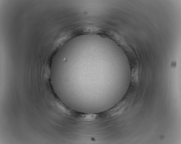 X0000097620474200803142006