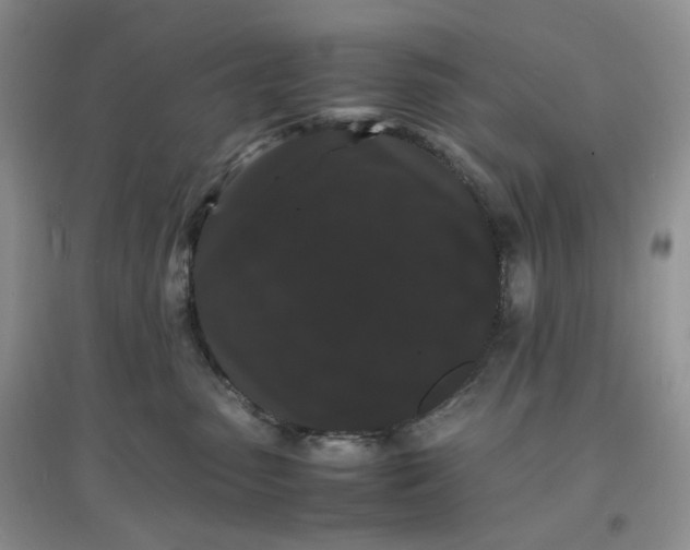 X0000097620475200803142006
