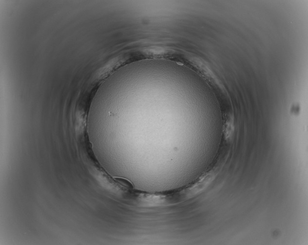 X0000097620476200803142006