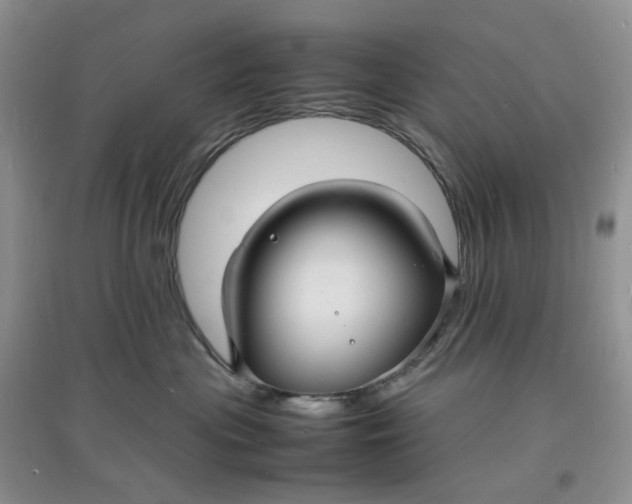 X0000097620477200803142006