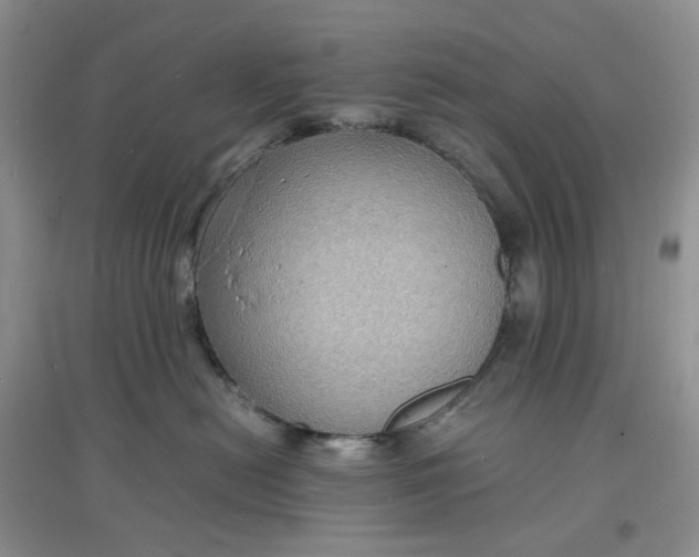 X0000097620478200803142006
