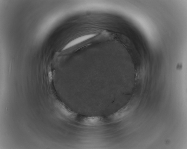 X0000097620479200803142006