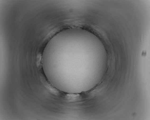 X0000097620480200803142006