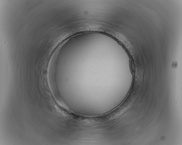 X0000097620481200803142006