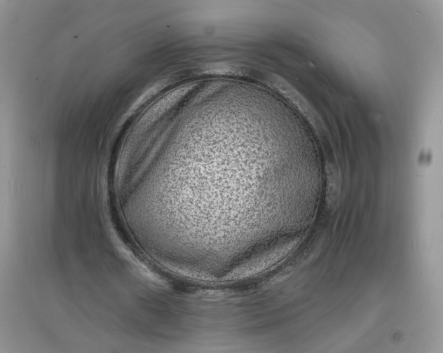 X0000097620482200803142006