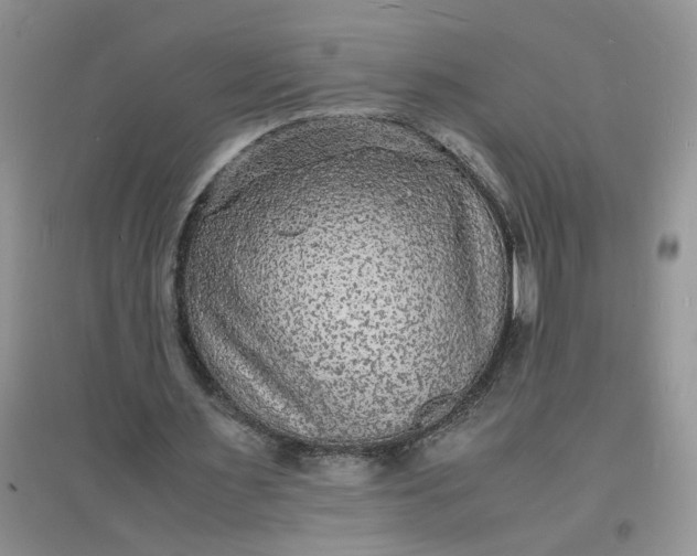 X0000097620483200803142006