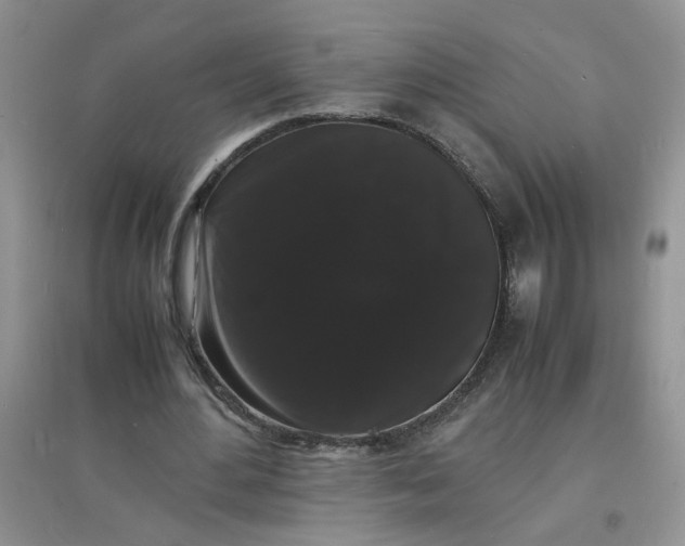 X0000097620484200803142006
