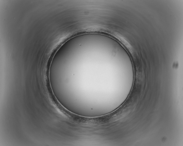 X0000097620485200803142006