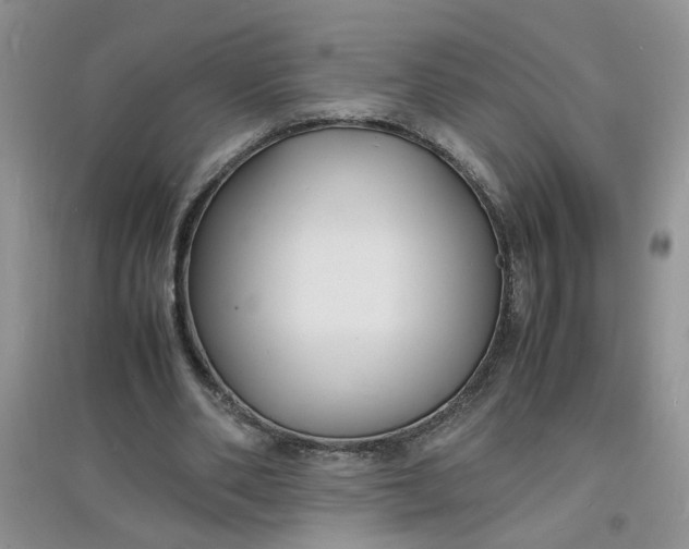 X0000097620486200803142006