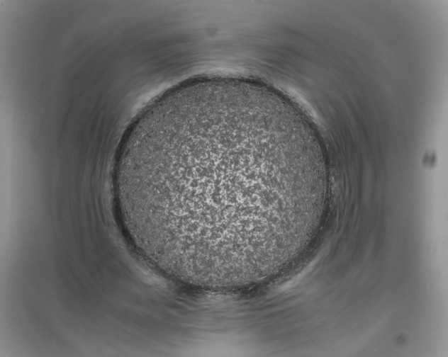 X0000097620487200803142005