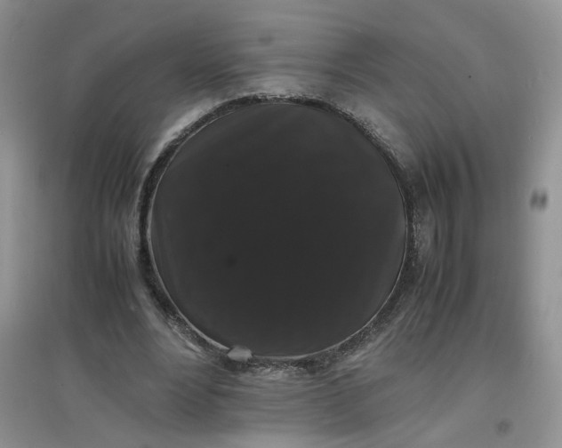 X0000097620488200803142005
