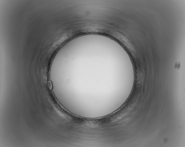 X0000097620489200803142005