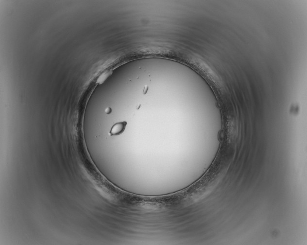 X0000097620490200803142005