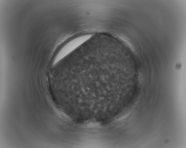 X0000097620491200803142005