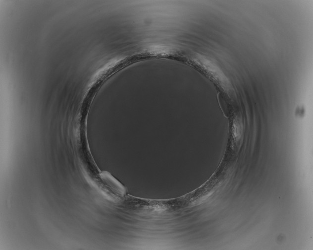 X0000097620492200803142005