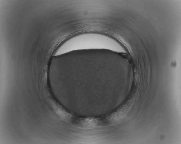 X0000097620493200803142005